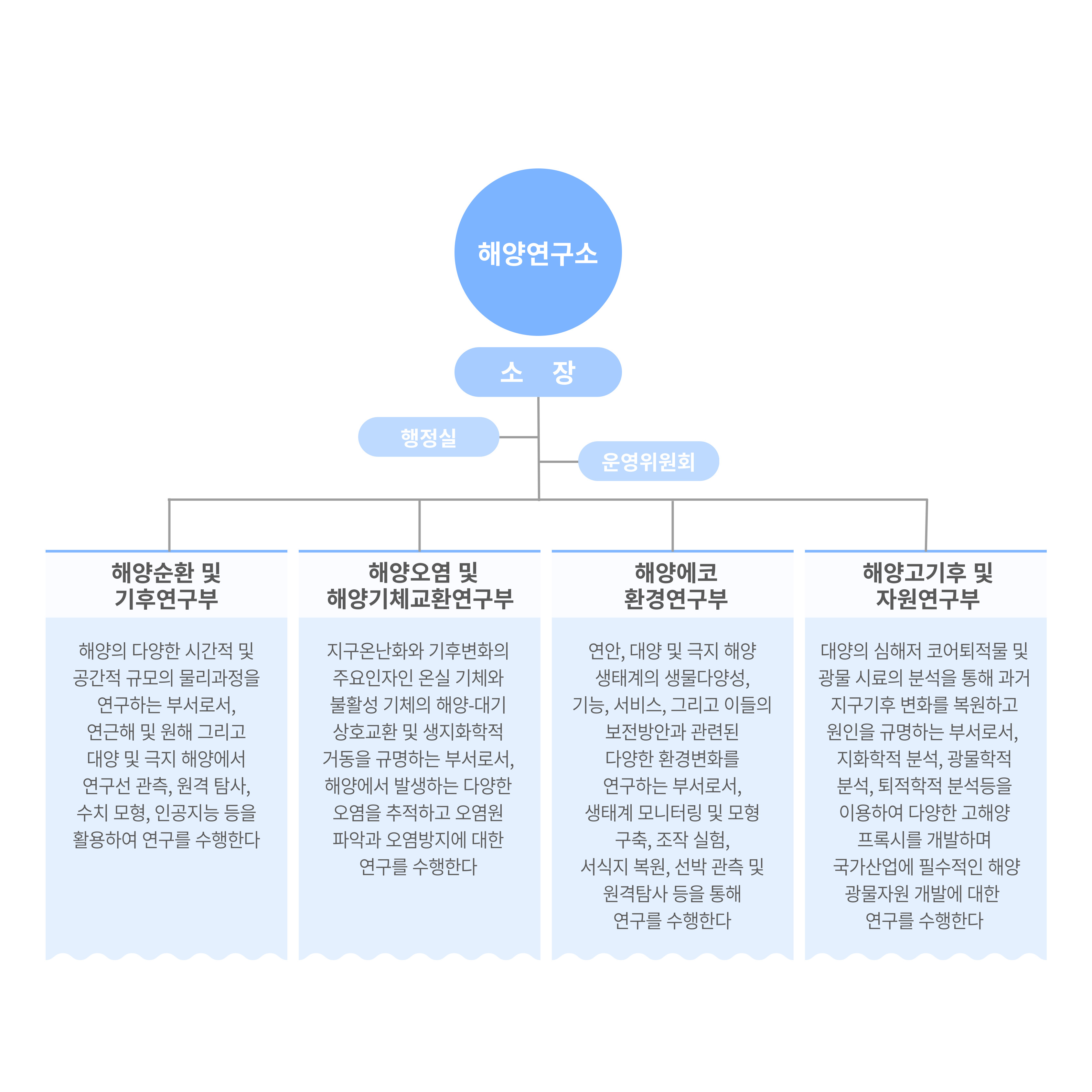 조직도